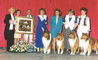 Ch. Twin Oaks High Plains Drifter ROM Winner Collie Club of America Stud Dog Class 1996