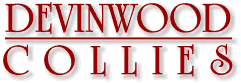 Devinwood Collies